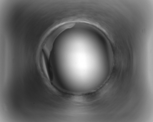 X0000088631511200706011135