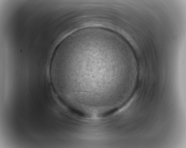 X0000088631513200706011135