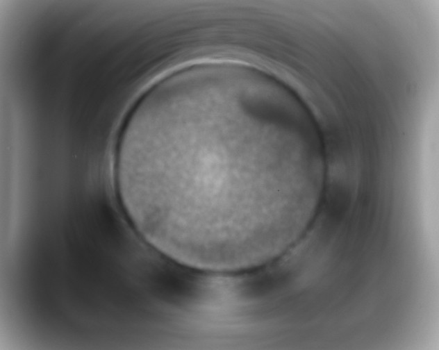 X0000088631514200706011135