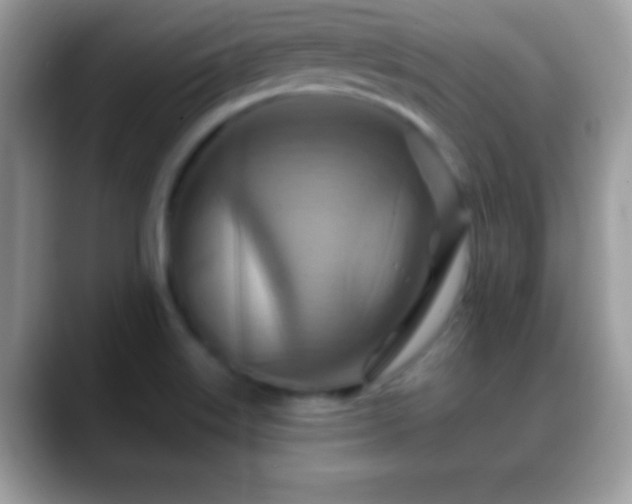 X0000088631515200706011135