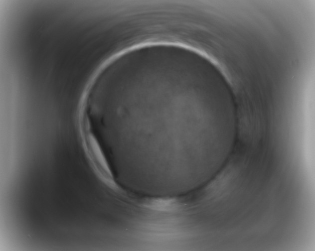 X0000088631519200706011135