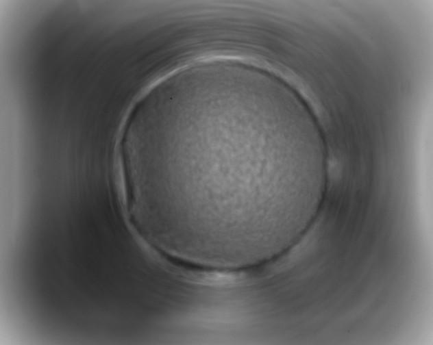 X0000088631521200706011135