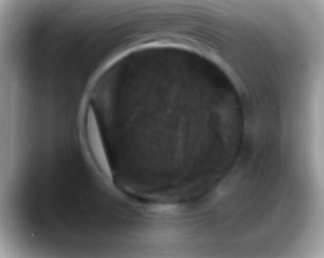 X0000088631522200706011135