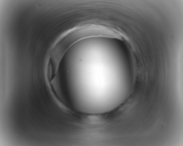 X0000088631523200706011135