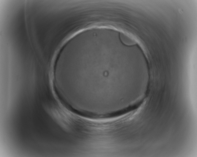 X0000088631525200706011135