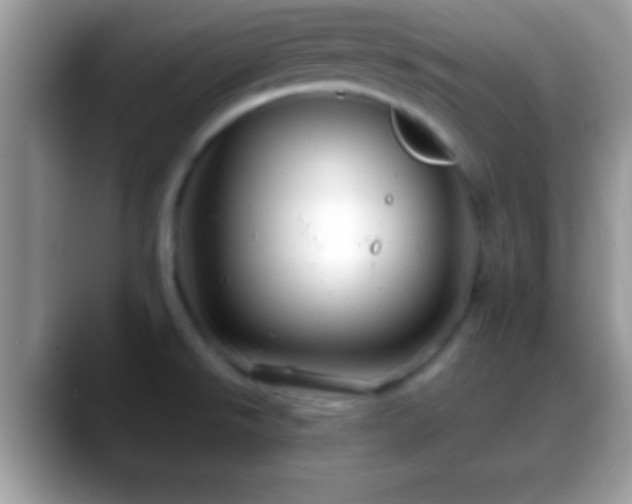 X0000088631526200706011135