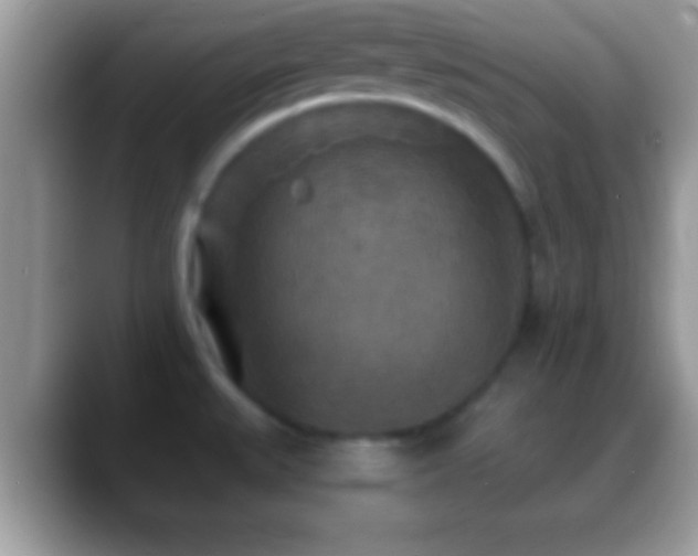 X0000088631527200706011135