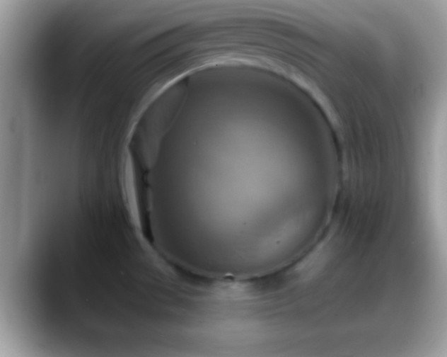 X0000088631529200706011135