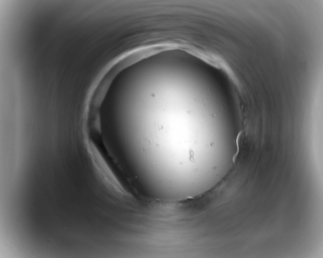 X0000088631532200706011135