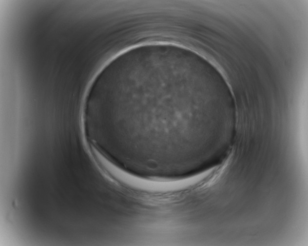 X0000088631533200706011135