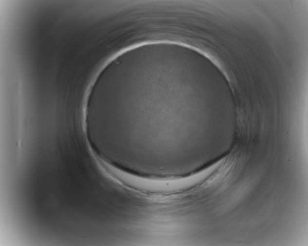 X0000088631535200706011136