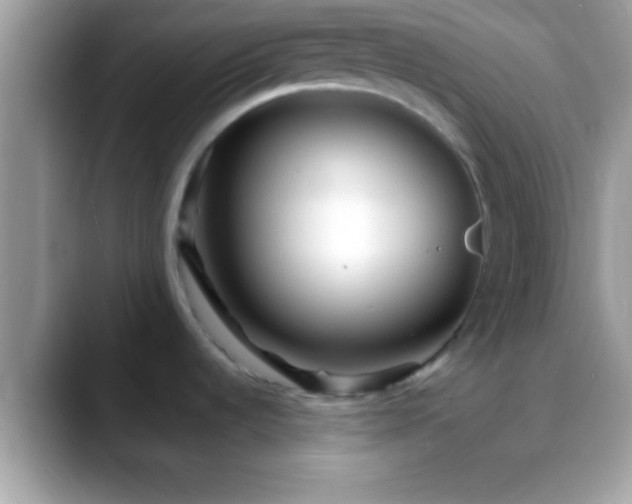 X0000088631536200706011136