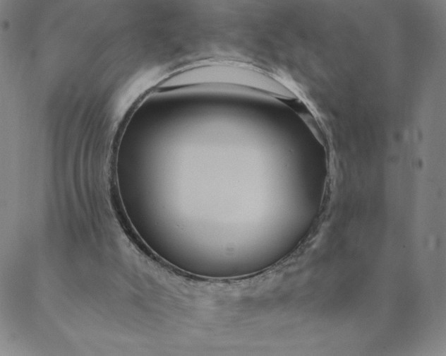X0000088630007200706081558