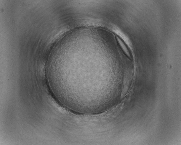 X0000088630009200706081558