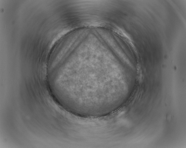 X0000088630012200706081558