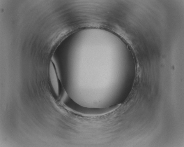 X0000088630013200706081558