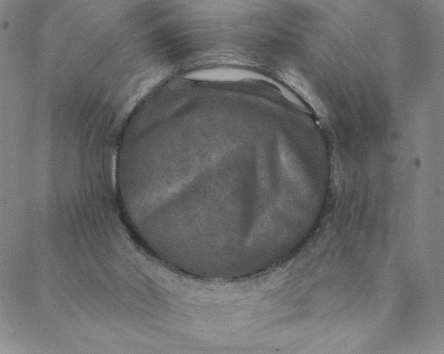 X0000088630014200706081558