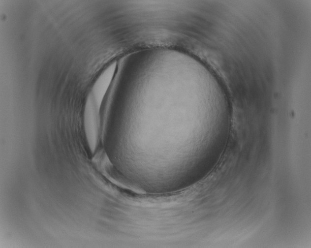 X0000088630017200706081558
