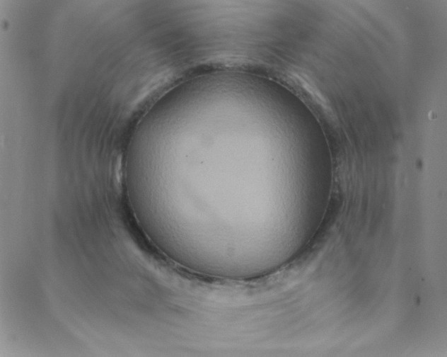 X0000088630024200706081558