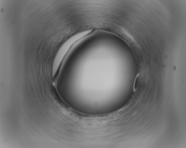 X0000088630025200706081558