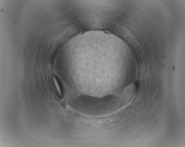 X0000088630029200706081558