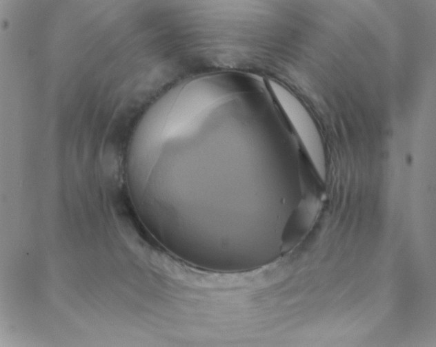 X0000088630031200706081558