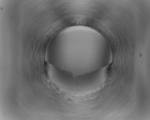 X0000088630039200706081558