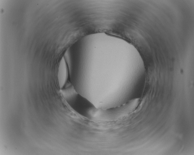 X0000088630041200706081558