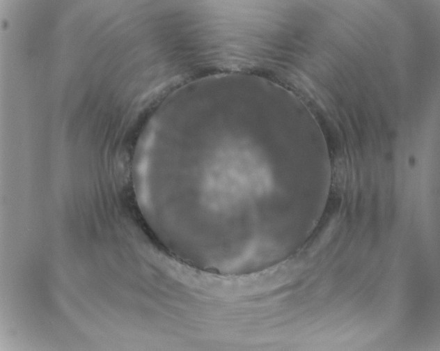 X0000088630043200706081558