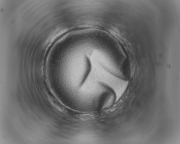 X0000088630050200706081557