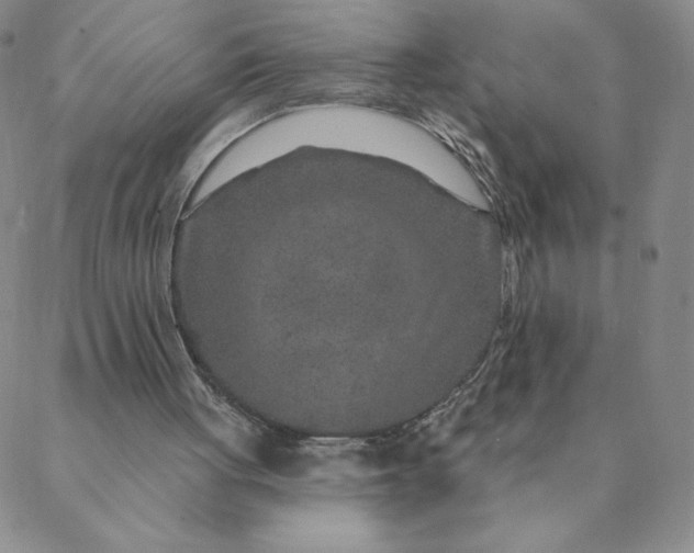 X0000088630051200706081557