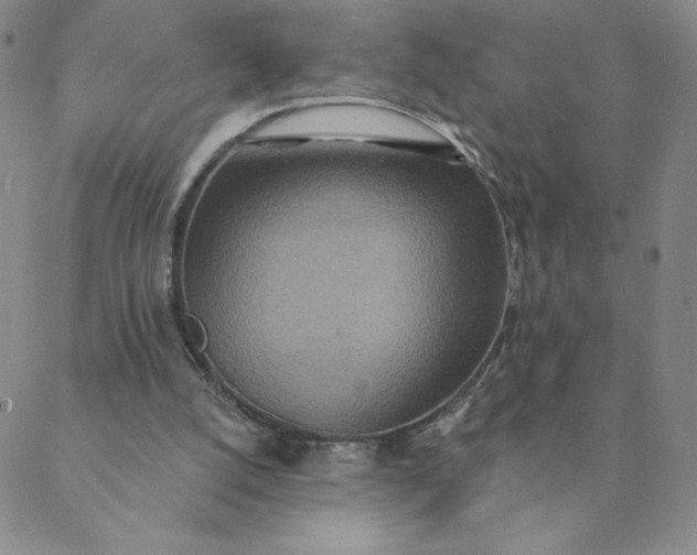 X0000088630056200706081557