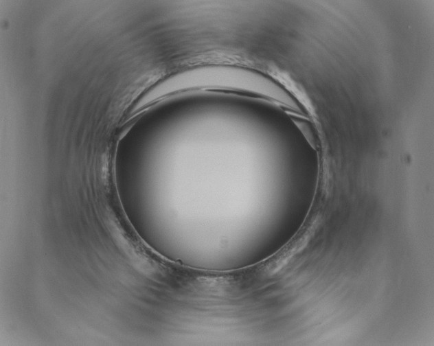 X0000088630057200706081557