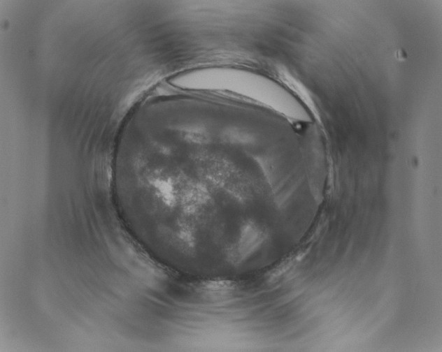 X0000088630059200706081557