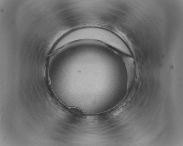 X0000088630060200706081557
