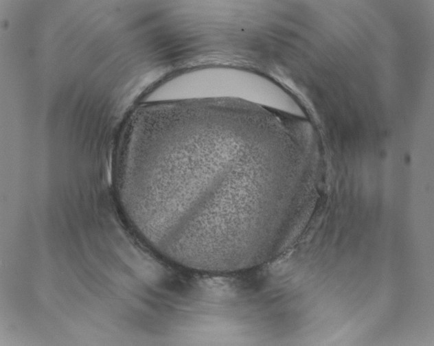 X0000088630062200706081557