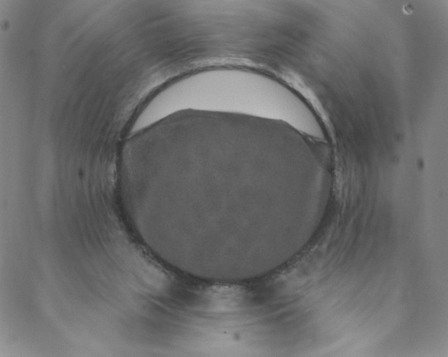 X0000088630063200706081557