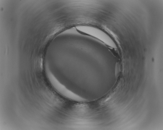 X0000088630067200706081557