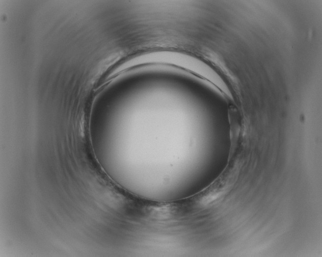 X0000088630068200706081557