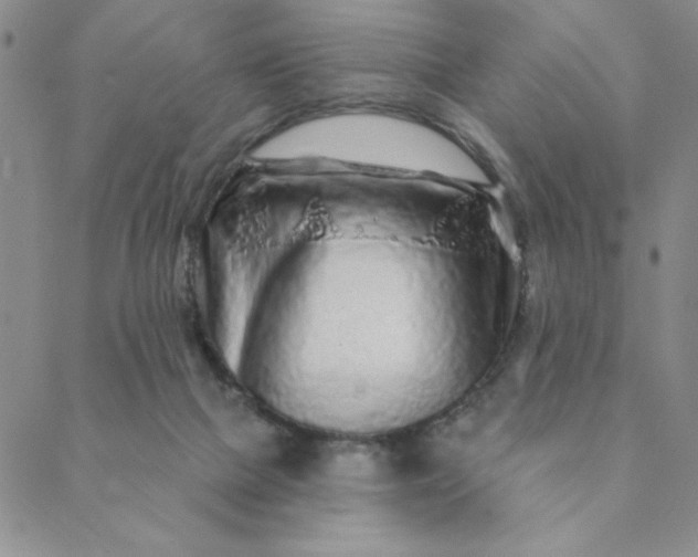 X0000088630073200706081557