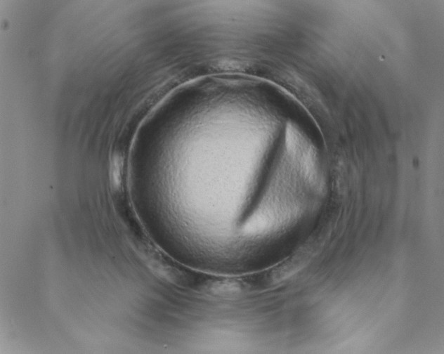 X0000088630075200706081557