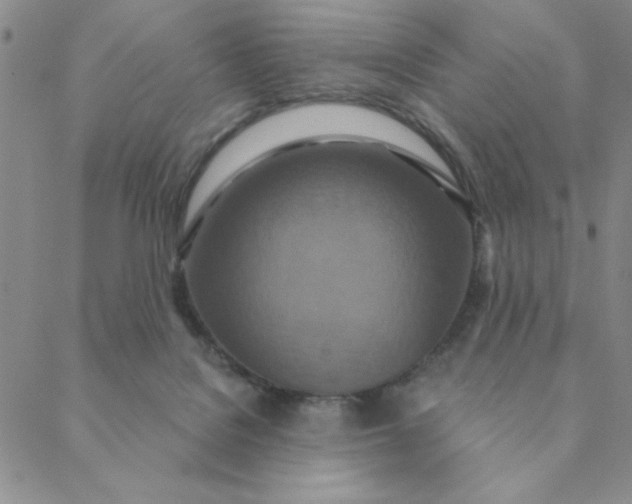 X0000088630076200706081557