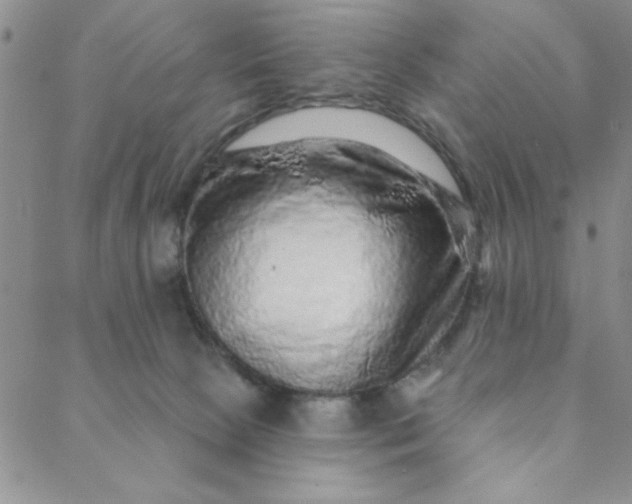X0000088630081200706081557
