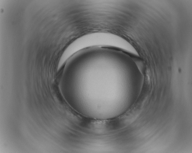 X0000088630084200706081557