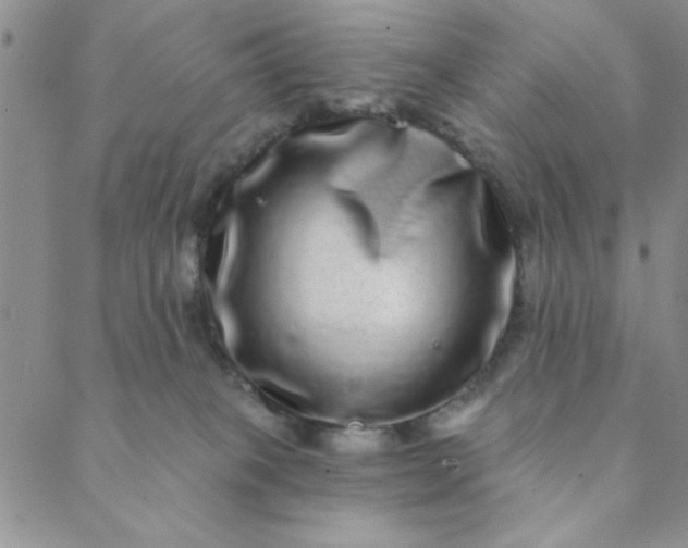 X0000088630085200706081558