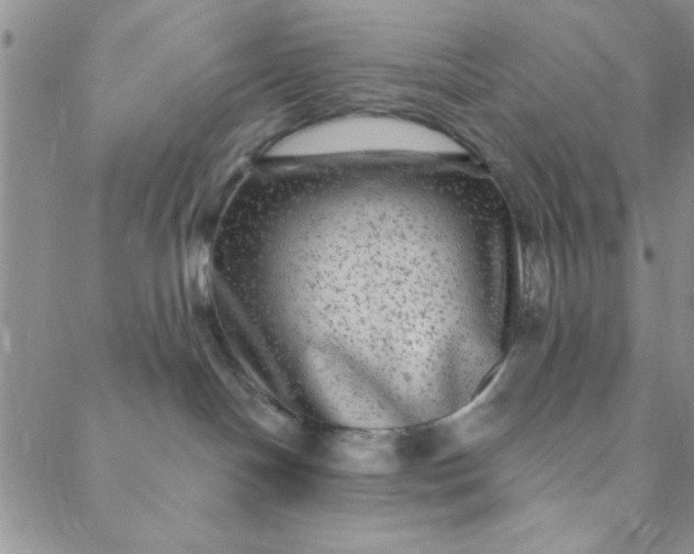 X0000088630094200706081558