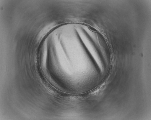 X0000088630103200706081557