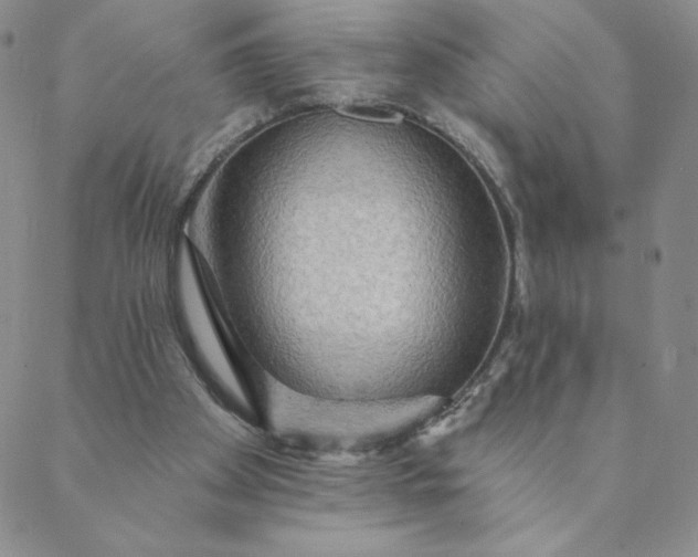 X0000088630105200706081557