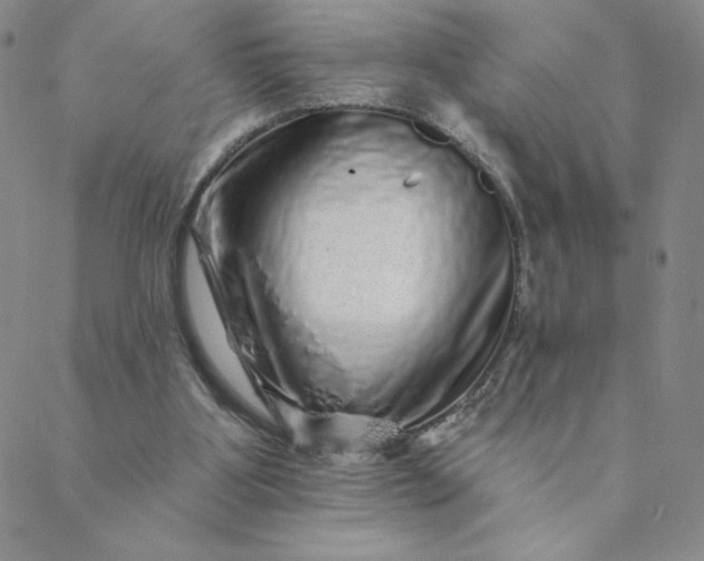 X0000088630107200706081557