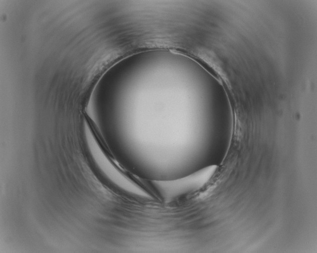 X0000088630109200706081557
